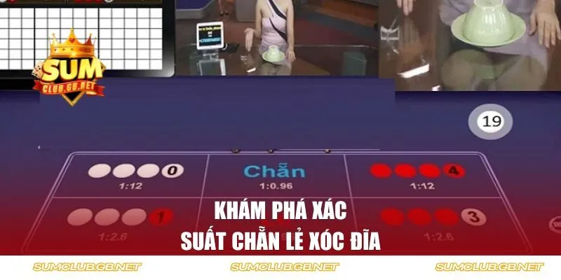 Khám phá xác suất chẵn lẻ xóc đĩa